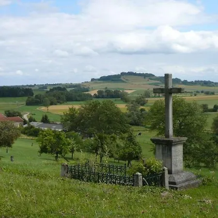 En Lorraine, Proche Nancy Et Vosges, Terrasse Et Confort Equipe - Fr-1-584-59