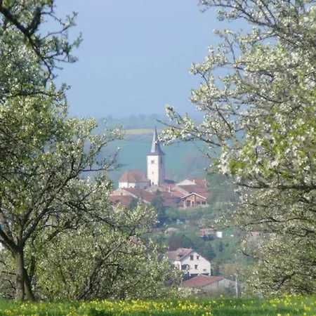 En Lorraine, Proche Nancy Et Vosges, Terrasse Et Confort Equipe - Fr-1-584-59 *